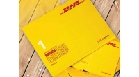 0101-1231DHL1