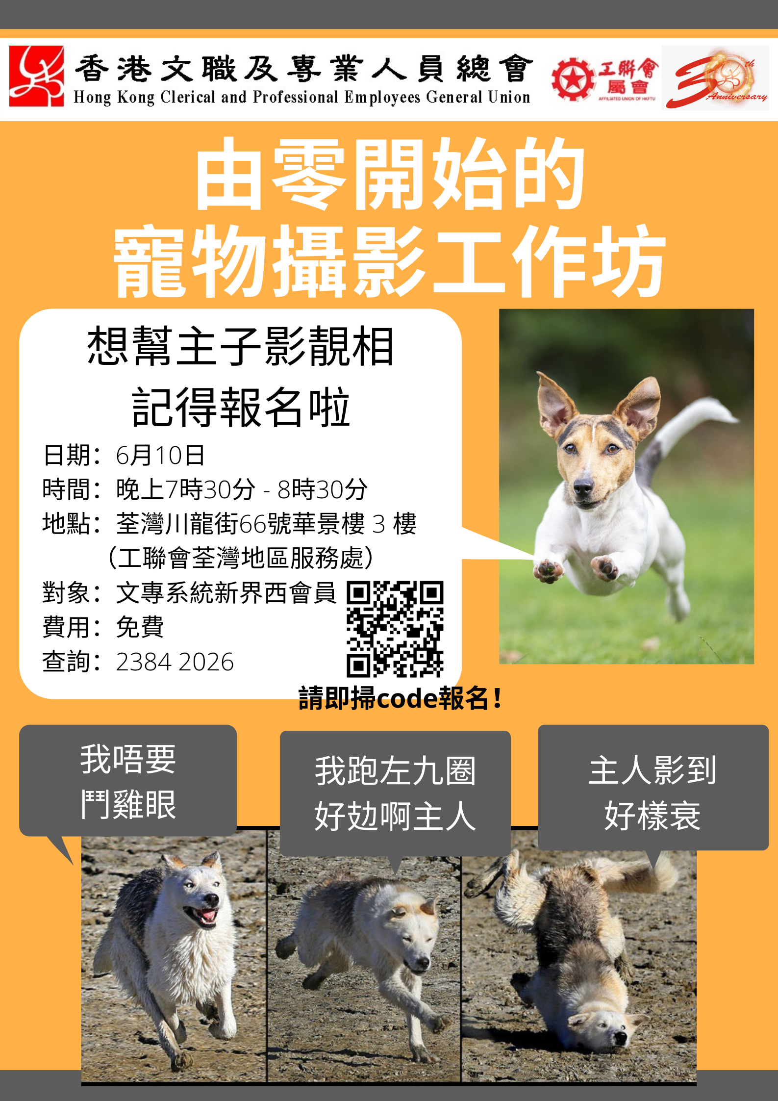 本頁圖片/檔案 - Orange Photo Pet Adoption Poster